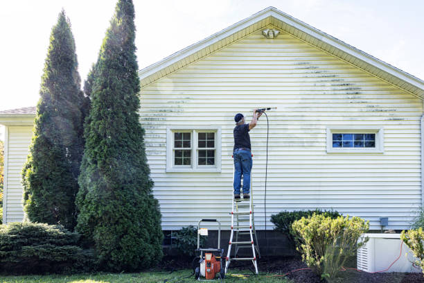 Best Local Pressure Washing Services  in Sterling Heights, MI