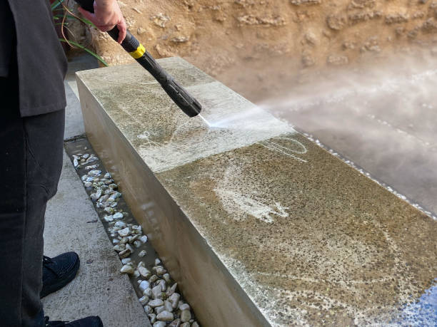 Best Concrete Pressure Washing  in Sterling Heights, MI