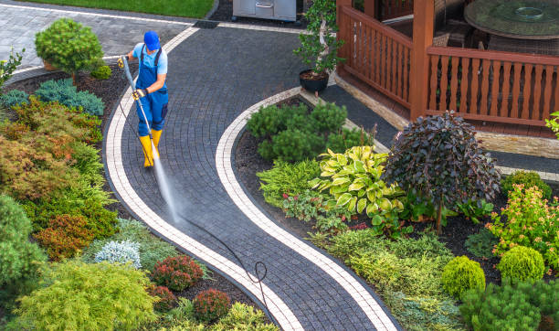 Best Commercial Pressure Washing  in Sterling Heights, MI